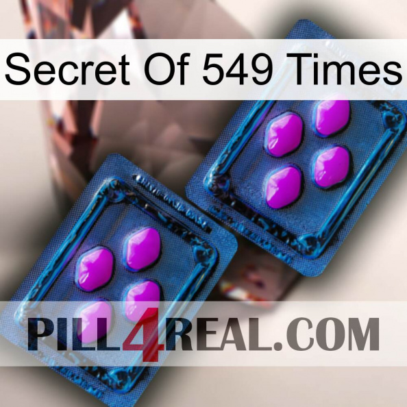 Secret Of 549 Times 03.jpg